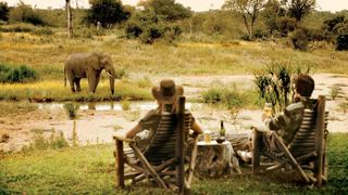 Motswari Private Game Reserve | Accommodation Timbavati Reserve