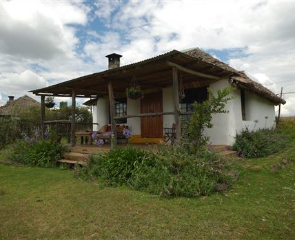 Malu