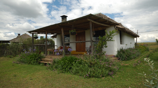 Malu | Accommodation Ol Ari Nyiro Conservancy