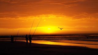 Melkbosch Guest House | Accommodation Melkbosstrand