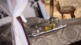 Leopard Rock Lodge | Meru National Park Accommodation