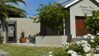 Xanske's Place | Africa Specials