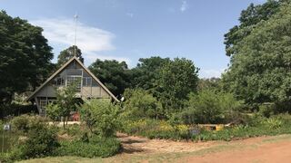 Modimolle Funky Stay Backpackers | Modimolle (Nylstroom) Accommodation