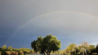 Dimalachite Nature Resort and River Lodge | Accommodation Parys