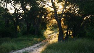 El-Fari Bush Camp | Ghanzi Accommodation