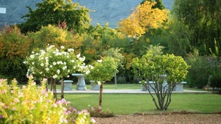 Porter House Eleven | Accommodation Ceres