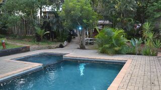 Hazyview Adventure Backpackers | Accommodation Numbi Park