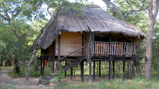 Miombo Safari Camp | Accommodation Hwange National Park