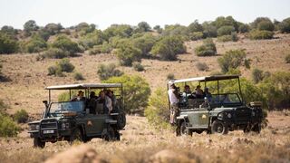 Letsatsi Private Game Reserve | Smithfield Accommodation
