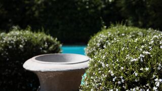 Guesthaven | Middelburg - Mpumalanga Accommodation
