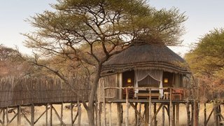 Onguma Tree Top Camp | Lodges Tsumeb