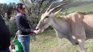 Meijer's Rust Guest Farm | De Rust Accommodation