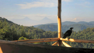 Bakiga Lodge | Bwindi Impenetrable National Park Accommodation