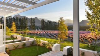 Lavender Farm Guest House | Accommodation Franschhoek