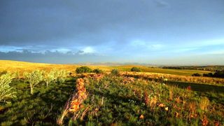 O Live Life Guest House - La Rochelle Farm | Accommodation Drumblade