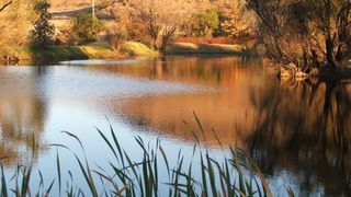 Upmarket Accommodation | Accommodation Matatiele