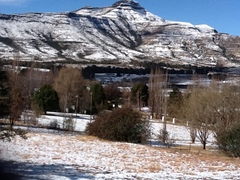 Birch Cottage | Self-catering Clarens