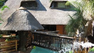 Bosveld Gastehuis | Dendron Self-catering