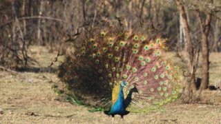 Pouveer Gastehuis | Fochville Accommodation