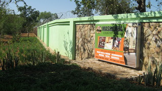 Mashamba Country House | Accommodation Giyani