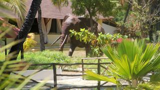 Angels Bay | Malindi Resorts
