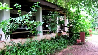 Ant & Elephant Self-catering | Accommodation Hazyview