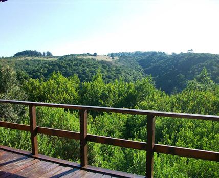 Ingwe Forest Cabins & Adventures