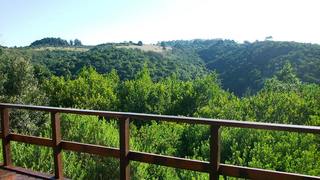 Ingwe Forest Cabins & Adventures | The Crags Self-catering