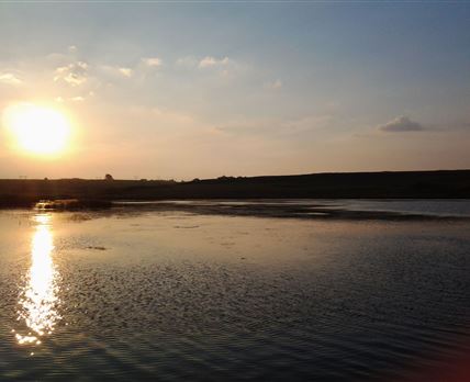 Forelwater
