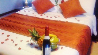 Bush Budget Hotel Kenya | Accommodation Langata