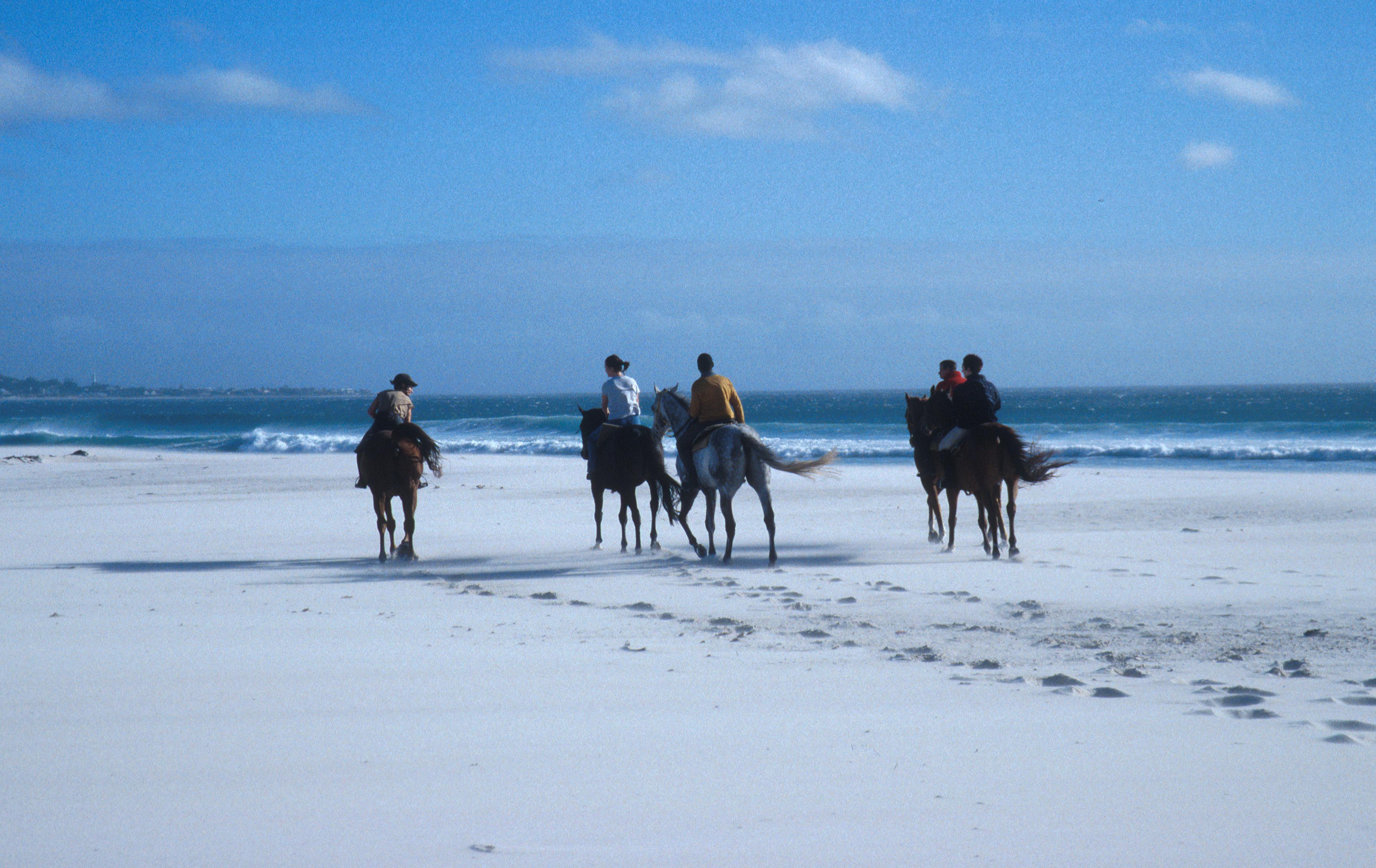 Noordhoek Beach Horse Riding Noordhoek Beach Horse Riding
