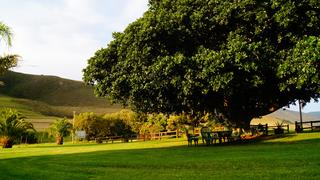 Mount Ingwe Lodge | Patensie Lodges