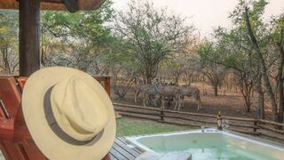 ZinkwaziBush | Marloth Park Accommodation