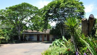 Birds of Paradise | Eshowe Accommodation