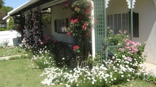 Green Door Guest Cottage - Loop Street | Parys Self-catering