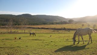 Gratitude Horse Farm | Self-catering Riversdale