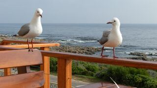 SeaKaya | Perlemoen Bay Accommodation