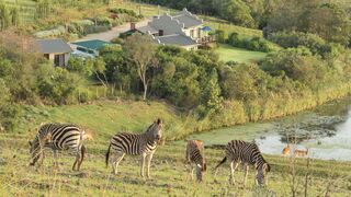 Hakuna Matata Game Farm | Great Brak River Accommodation