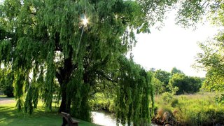 Aqua Terra Guest House | Accommodation Lydenburg