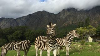 Franschhoek Country Cottages | Franschhoek Accommodation