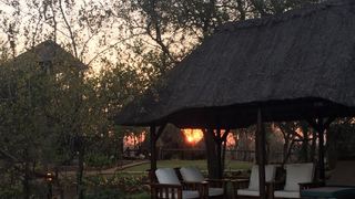 Tsakane Safari Company | Accommodation Balule Nature Reserve