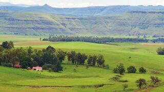 Fairbairn Guest Farm | Maclear Accommodation