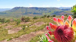 Fairbairn Guest Farm | Maclear Accommodation