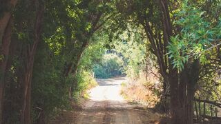 Springvale Cottage | Ladismith Self-catering