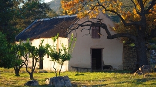 Bovlei Guest Farm | Clanwilliam Self-catering