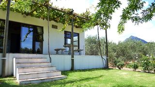 In the Vineyard | Klapmuts Self-catering