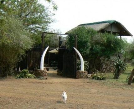 Nkonkoni Fishing Camp