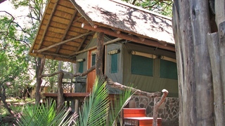 Tambuti Tented Camp | Accommodation Simunye (Swaziland)