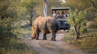 Tshukudu Safaris - Marula Camp | Hoedspruit Accommodation