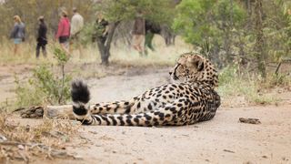 Tshukudu Safaris - Marula Camp | Hoedspruit Accommodation